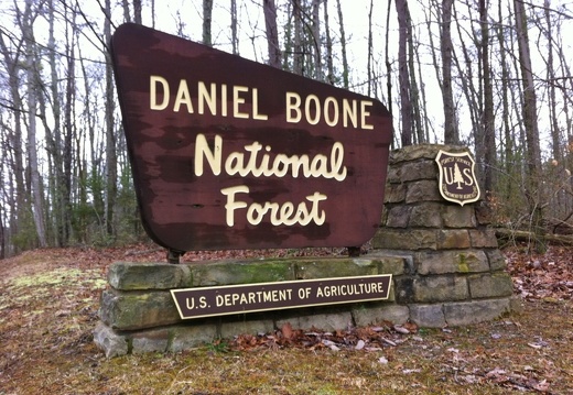 Daniel Boone National Forest